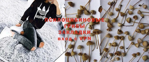стафф Михайловка
