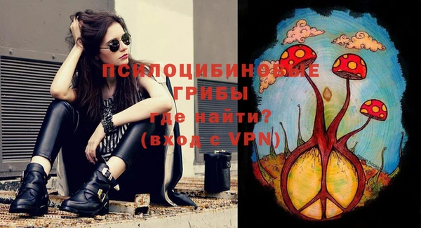 стафф Михайловка