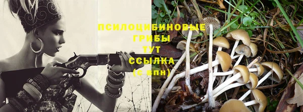 стафф Михайловка