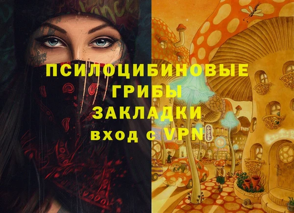 мдпв Михайловск